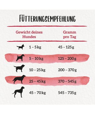 Beneful Original Dry Dog Food with Beef & Garden Vegetables - 12kg Pack | International Shipping Available - Buy Online on GoSupps.com