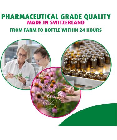 A. Vogel Echinaforce - Packaged Fresh Organic Echinacea Stronger Formula Than Dehydrated - 120 Tablets for Immune Support Supplement - Daily Herbal Immune Health Booster - Easy to Swallow 120 Count (Pack of 1) - Buy Online on GoSupps.com