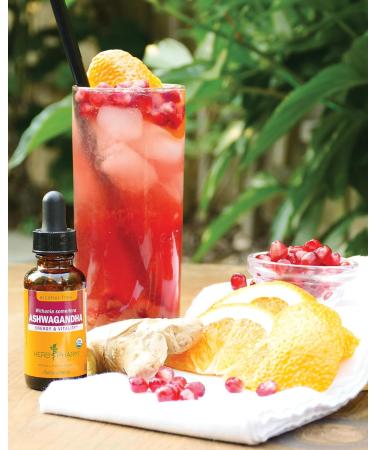 Herb Pharm Ashwagandha Alcohol Free: Organic Liquid Extract | Traditional Stress Support Supplement Vegan Ashwagandha Root Glycerite Adaptogen Extract for Adults | Up to 12 Week Supply 4 oz* 4 Fl Oz (Pack of 1) Alcohol-  - Buy Online on GoSupps.com