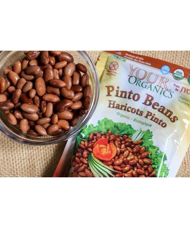 Jyoti Your Organics Pinto Beans - 60 oz (6 x 10 oz) - All Natural, Gluten Free, Vegan - Product of USA - BPA Free, NON-GMO, Low Salt - Buy Online on GoSupps.com