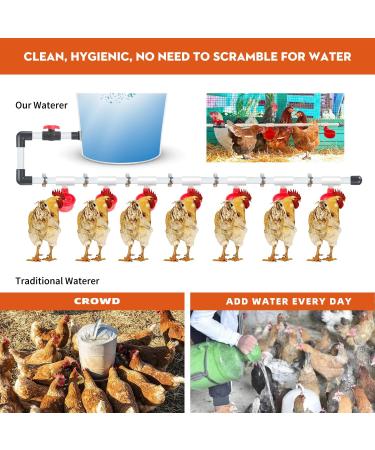 Ayakol Automatic Chicken Waterer System DIY Poultry Pipe Water Feeder Set Include 8 Chicken Water Cups Coop Automatic Clean Waterer Suitable for Chicken Duck Quail Pigeon Large - Buy Online on GoSupps.com