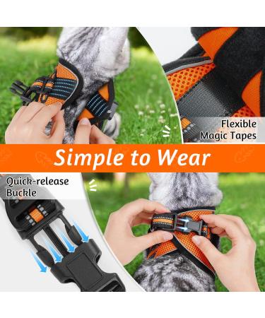Rabbitgoo Cat Dishes & Cat Linen Set - Adjustable Soft Leash with Reflective Stripes for Cats & Kittens - Bright Orange (1 Pack) - Buy Online on GoSupps.com