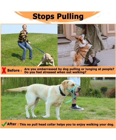 Barkeless Dog Handlebars | Reflective No-Pull Training Device for Medium & Large Dogs - Includes Training Instructions (Turquoise) - Buy Online on GoSupps.com