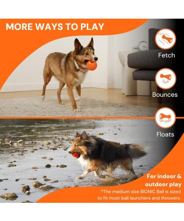 Shop Bionic Ball: Durable 5.8cm Dog Toy for Ultimate Playtime | International Shipping Available - Buy Online on GoSupps.com