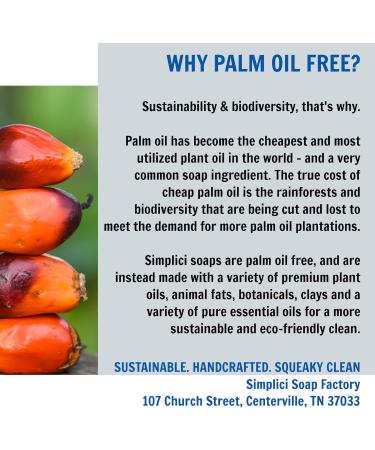 Oatmeal & Honey Natural Soap - Exfoliating Sensitive Skin 6 Bar Value Bag | Palm Free Ship Worldwide - Buy Online on GoSupps.com