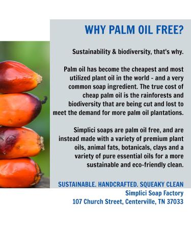 Almond Cinnamon Oatmeal Soap - 6 Bar Value Bag | Exfoliating Natural Soap with Essential Oils | Palm Free International Shipping - Buy Online on GoSupps.com