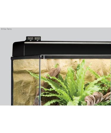 Exo Terra Digital Hygrometer & Forest Moss 2 x 7 Litres Single + Forest Moss 2 x 7 Litres - Buy Online on GoSupps.com