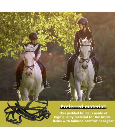 Small Horse Halter - Safety Halter Chin & Throat Snap Heavy Duty Tied Halter - Colorful Comfortable Padded Nylon Horse Halter for Equestrian Training Horse Care Fulenyi Black - Buy Online on GoSupps.com