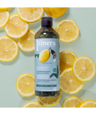 Daily Sebum Control Shampoo - Amalfi Coast Lemon | Vegan & 95% Natural | Oily Hair Solution (12.51 fl oz - Buy Online on GoSupps.com