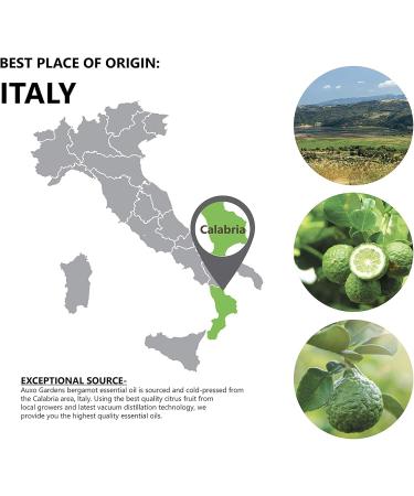 Bergamot Essential Oil 1 oz (30ml) -100% Natural and Pure Therapeutic Grade-Premium Quality Sourced from Italy-Natural Stress Reliever and Mood Lifter - Buy Online on GoSupps.com