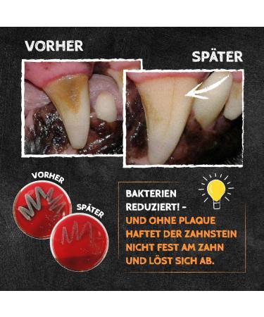 Snackies for Dogs: Natural Bad Breath Remedy & Tartar Remover No Toothbrush Needed! - Buy Online on GoSupps.com