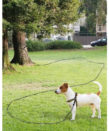 Taglory 20m Towline for Dogs | Reflective Rope with Double Hook | Durable 8mm Black Leash - No Handle (1 Pack) | International Shipping - Buy Online on GoSupps.com