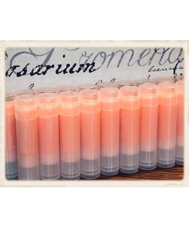 20 PUMPKIN Lip Balms in Clear Tubes Unbranded Bulk Wholesale