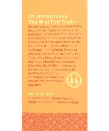 Equal Exchange Organic Ginger Herbal Tea - Caffeine Free, 20 Tea Bags (1.05 oz) - Buy Online on GoSupps.com