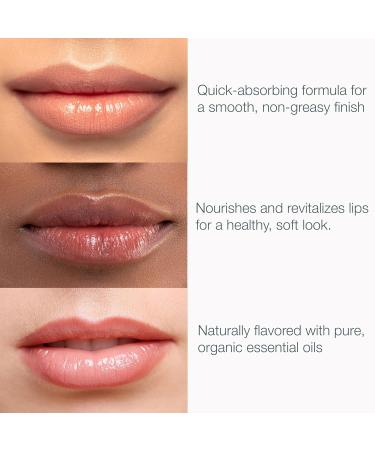 8-Pack Lip Balm Set by Bambalo Includes 4 USDA Organic Flavors & 4 SPF 15 Peppermint Balms Hydrating & Protecting Lip Care Natural Ingredients For Men and Women - Buy Online on GoSupps.com