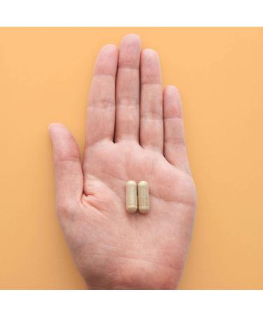 HEAL + CO. Echinacea Supplement | High Potency 10:1 Extract 5000 mg per serving | Immune Support | 120 x 500 mg Capsules - Buy Online on GoSupps.com