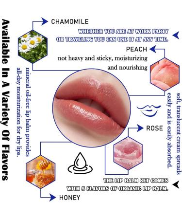 6 Pack Lip Balm Moisturizing Tinted Lip Balm Mini Hydrating Lip Mask for Dry Cracked Lips Smooth Lip Balm Bulk Lip Care Product 6 Pcs - Buy Online on GoSupps.com