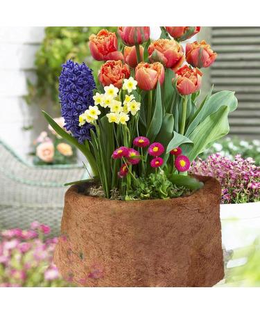 Natural Coconut Fiber Mat - Cuttable Garden Hanging Basket & Terrarium Liner | 25x100 cm for Reptiles & Plants - Buy Online on GoSupps.com