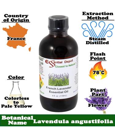 Buy French Lavender Essential Oil - 4 oz | GC/MS Tested Skin Safe | Amber Glass Bottle - International Shipping Available - Buy Online on GoSupps.com