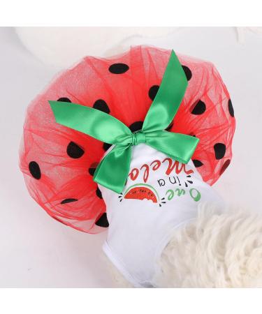 Trendy Summer Clothes for Small Dogs & Girls | Cute Puppy Dresses for Yorkies Chihuahuas & Tea Cup Breeds | Pet Princess Outfits & Birthday Costumes - Buy Online on GoSupps.com