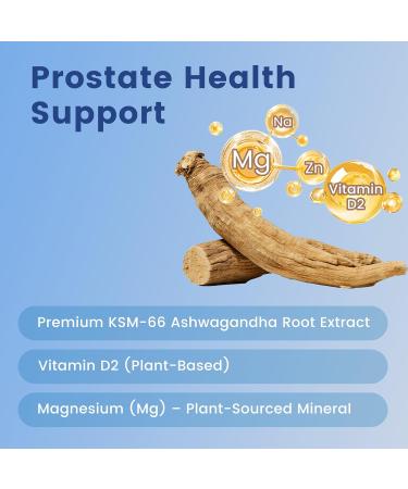 HolyTime Ashwagandha Gummies 60 Count,KSM-66 Natural Herbal Blend for Everyday Balance Plant-Based & Gluten-Free Vegan Friendly & Daily Wellness Support 2 - Buy Online on GoSupps.com