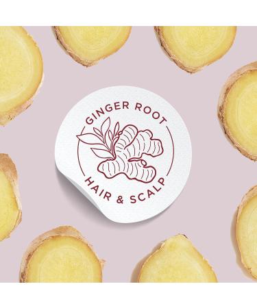 Rooted Rituals Ginger Root & Vitamin E Leave-On Mask | Scalp & Hair Health - 7.6 fl oz | International Shipping - Buy Online on GoSupps.com