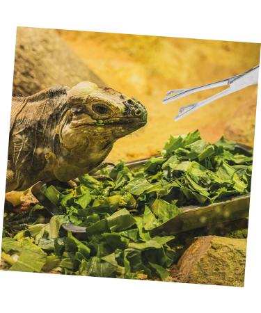 GRIRIW Reptile Feeding Clip Terrarium Supplies Feeding Tongs Silver Stainless Steel - Buy Online on GoSupps.com