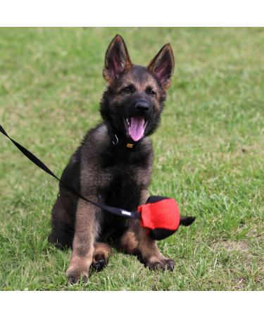 Dingo Gear Training Toys Ball 9 cm - Black-Red with 65 cm Handle | French Nylcott Apport IGP Obedience Training Game - Buy Online on GoSupps.com