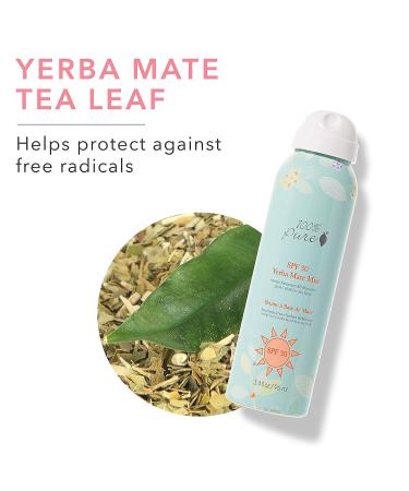 100% PURE Yerba Mate Mist SPF 30 3.4 Fl Oz Daily Face Sunscreen - Broad Spectrum UVA/UVB Protection | Water-Resistant Zinc Oxide Natural Sunscreen - Mattifies Face for Mess-Free Application - Buy Online on GoSupps.com
