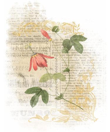 Flower Overlay Rice Paper - 8x10.5 inch, 6 Different Printed Images, 30gsm Mulberry Paper for Decoupage Crafts - Buy Online on GoSupps.com