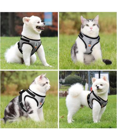Cat Harness and Lead Set Adjustable Cat Harness Escape Proof Cat Kitten Harness for Walking Breathable Cat Harness with Reflective Stripe and Leash Set for Small Medium Cats Pets (S) - Buy Online on GoSupps.com