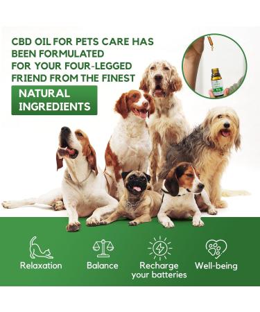 5% Hemp Oil for Dogs and Cats - Hemp Oil for Animal Care - German Quality - 10 ML - 250 Drops - Balance Between Omega-3 and Omega-6 - Buy Online on GoSupps.com