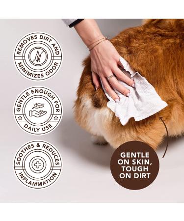 Natural Dog Company Aloe Vera Grooming Wipes - Cleanses, Soothes, Deodorizes - 50 Biodegradable Fragranced Wipes - Buy Online on GoSupps.com
