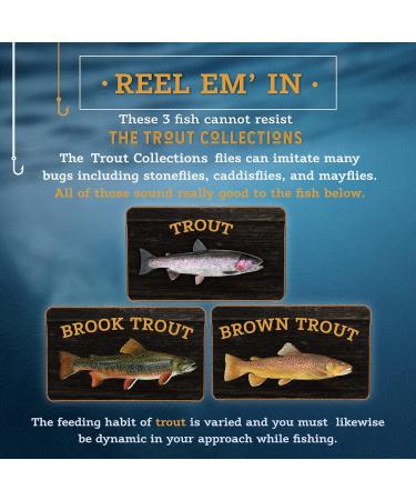 DiscountFlies Terrestrial Dry Fly Fishing Kit w/ Fly Box - 12 Realistic Trout Flies for Effective Fishing - Buy Online on GoSupps.com