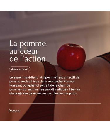 POM OL SLIMMING PACK Firming & Anti-Cellulite Fat Burner Weight Loss and Firmness 60-day Supplement & LipoReduce Slimming Jelly Forskolin Ascophyllum Chili Pepper Vitamin B6 Caffeine - Buy Online on GoSupps.com