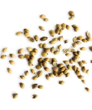 Whole Coriander Seeds Cooking Spice Premium Quality 200g 250.0 grams - Buy Online on GoSupps.com