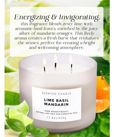 Lime Basil Mandarin 3 Wick Scented Candle | Large Aromatherapy Soy Candle for Home | Unisex Fresh Fragrance | Clean Burning 15.8 oz Candle - Buy Online on GoSupps.com