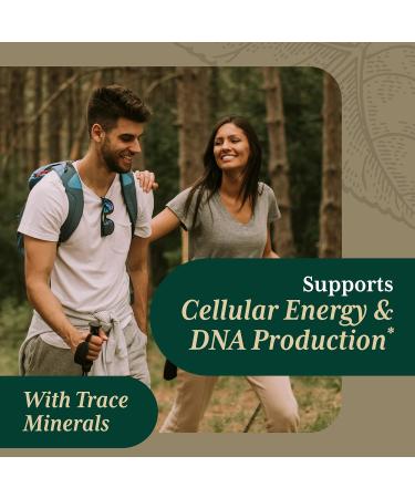 Gaia PRO Liquid Magnesium with Trace Minerals - Supports DNA & Cellular Energy - 4 fl oz (48 Servings) - Buy Online on GoSupps.com