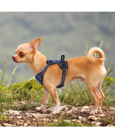 Rabbitgoo Adjustable Dog Harness for Small Dogs - No Pull Control Breast Harness with Reflex Stripes Breathable Design - XS Blue (1 Pack) - Buy Online on GoSupps.com