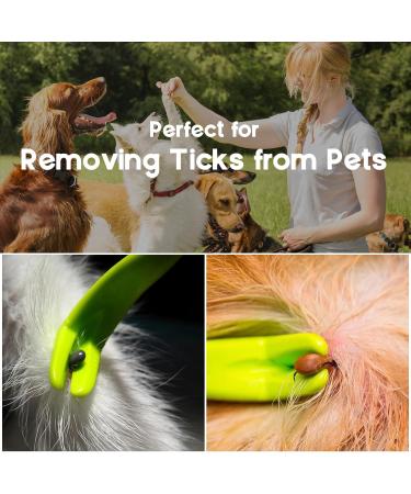 Tick Remover Tool and Tique Identification Card for Dogs Cats and Humans for Lyme Prevention - Buy Online on GoSupps.com