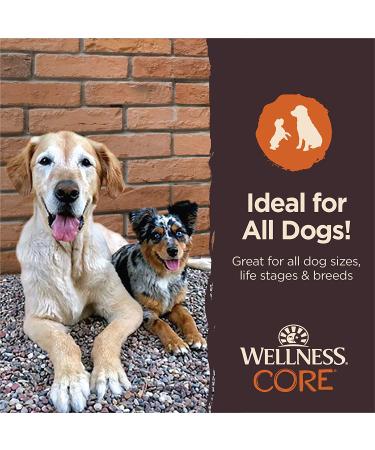Wellness CORE Pure Rewards Chicken & Lamb Jerky Bites - Grain-Free Dog Treats, 4 oz - Buy Online on GoSupps.com