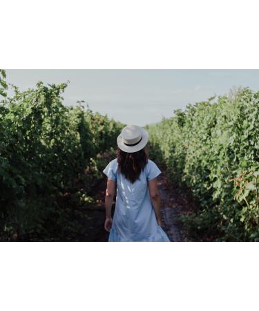 Lifestream Organic Barley Grass Powder 100g 100 g (Pack of 1) - Buy Online on GoSupps.com