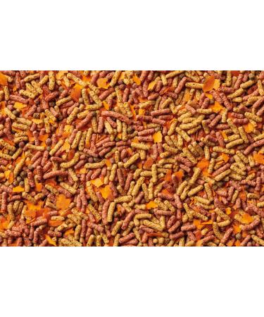 OASE Dynamix Sticks Mix Plus Snack 4 L Fish Food Pond Fish Food Ideal for Natural and Red Colored Fish Mixed - Buy Online on GoSupps.com