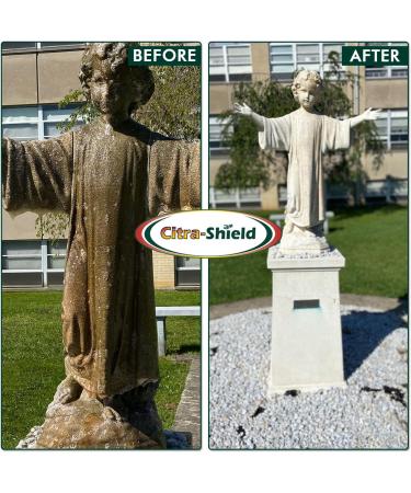 CITRASHIELD Contractor Grade MultSurface Outdoor Cleaner | DIY Home Improvement Exterior Cleaner Green Cleaner | Concrete Cleaner Roof Cleaner Siding Cleaner Headstone Cleaner Awning Cleaner  - Buy Online on GoSupps.com