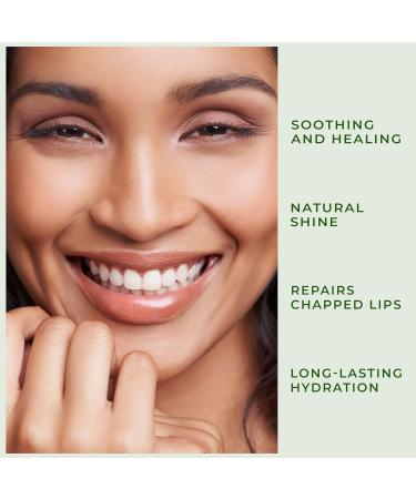 Peppermint Lip Balm with Castor Oil & Vitamin E - Nourishes & Protects Dry Lips, Lip Moisturizer with Ceramide & Squalane, Natural Lip Balm Mint with Deep Hydration for Soft Lips - Lip Repair, 0.15 oz Peppermint Small - Buy Online on GoSupps.com