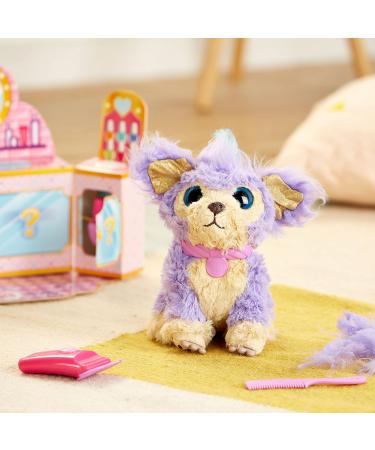 Little Live Pets Scruff-a-Luvs Cutie Cuts Purple Plush - Shave, Reveal & Style - Buy Online on GoSupps.com