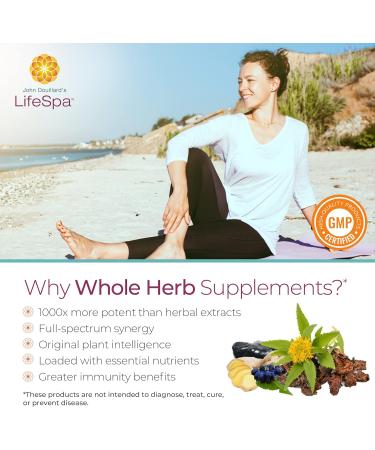 LifeSpa Whole Herbs Brahmi Brain Capsules | Supports Brain Function and Mental Focus | Gotu Kola Supports Brain Lymph & Skin Health | 90 Capsules 500mg - Buy Online on GoSupps.com