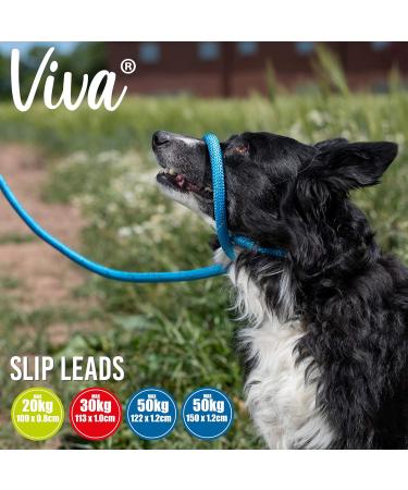 Ancol Viva Reflective Rope and Real Leather Slip Lead. 150x 0.8cm. PURPLE Purple 150 cm x 0.8 cm (Pack of 1) - Buy Online on GoSupps.com
