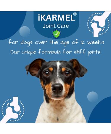 iKarmel Hip and Joint Care Supplements for Dogs - Glucosamine, Chondroitin, Green-Lipped Mussels - Senior to Puppy Treats for Stiff Joints (180 Chews) - Buy Online on GoSupps.com