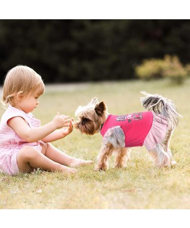 Pet Princess Dress Shirt - 4-Piece Cute Dog Sundress Set for Small Dogs & Cats - Summer Apparel with Ruffles - Puppy Skirt Shirt - Buy Online on GoSupps.com